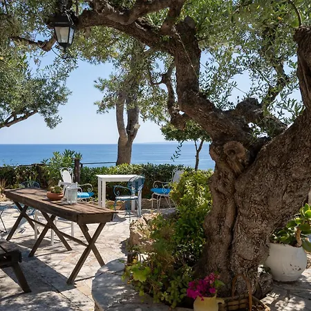 Skyblue Horizon 3 アパート *