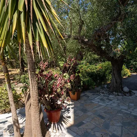 Skyblue Horizon 3 Appartement Tsilivi (Zakynthos)